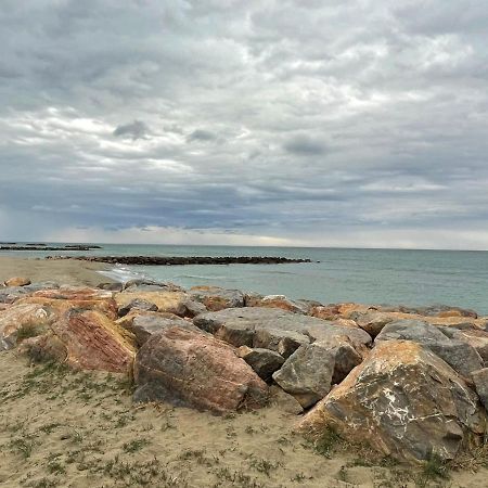 Port Barcares Vue Port Et Mer Le Barcares Bagian luar foto