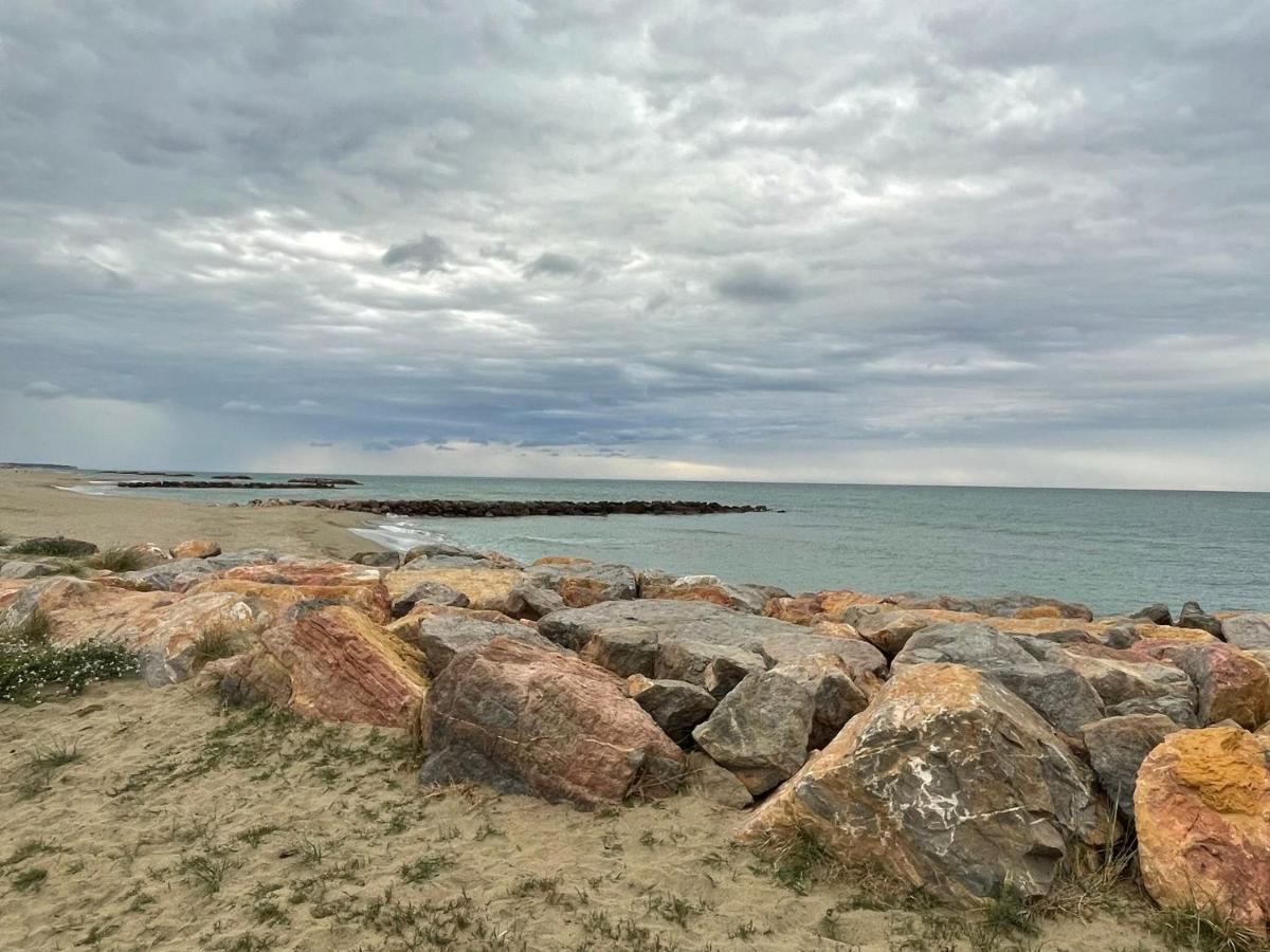 Port Barcares Vue Port Et Mer Le Barcares Bagian luar foto